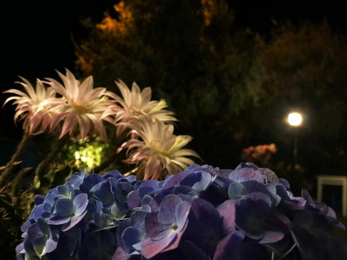 Cunda La Vie Otel Balıkesir Dış mekan fotoğraf